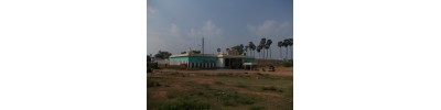 224. திருநெல்வெண்ணெய்